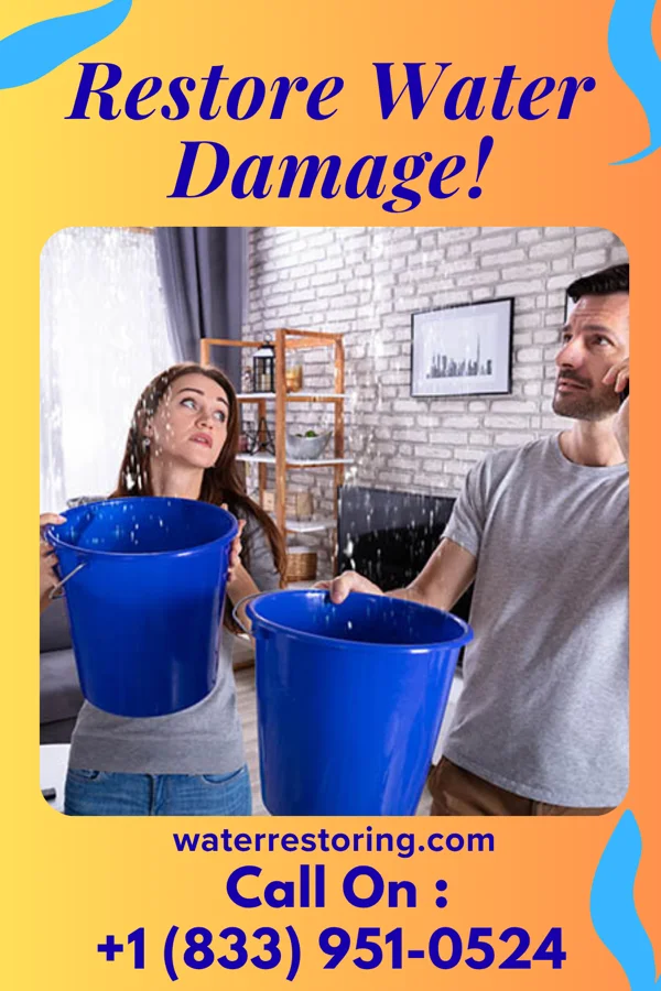 water restoration Elite Flood Damage Partners Canal Fulton