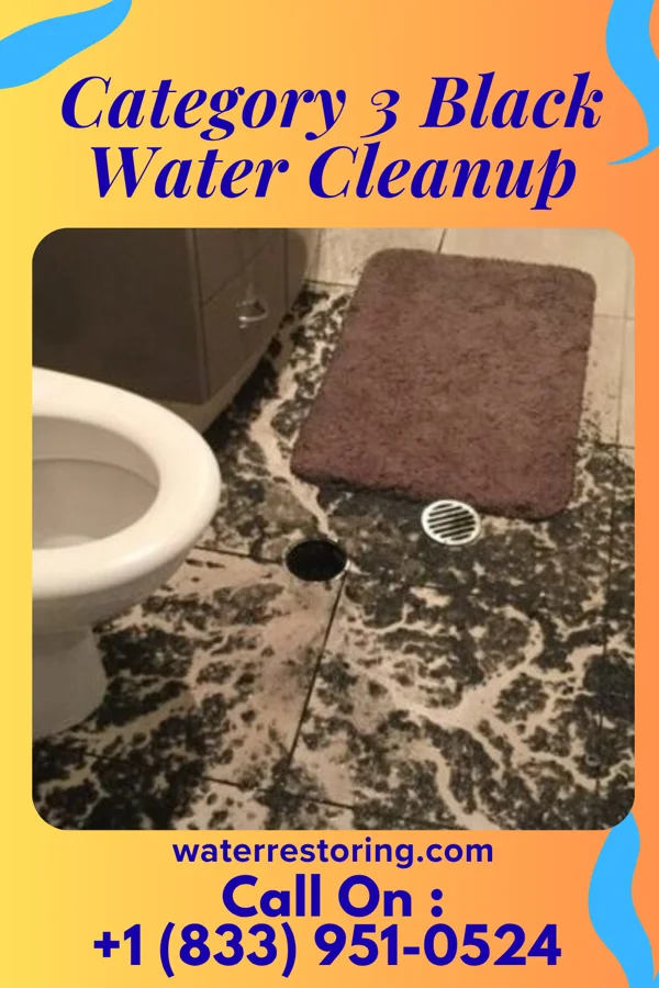Category 3 Black Water Cleanup in Canal Fulton, OH