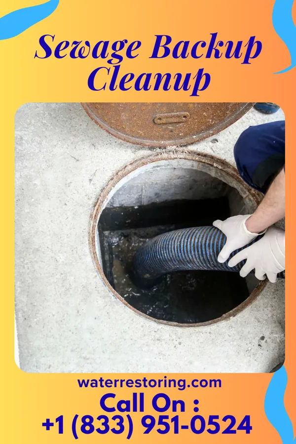 Sewage Backup Cleanup in Canal Fulton, OH