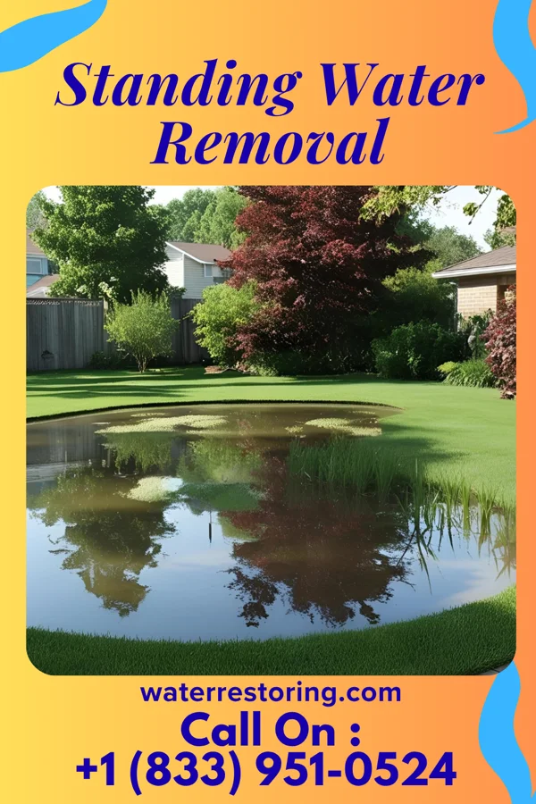 Standing Water Removal in Canal Fulton, OH